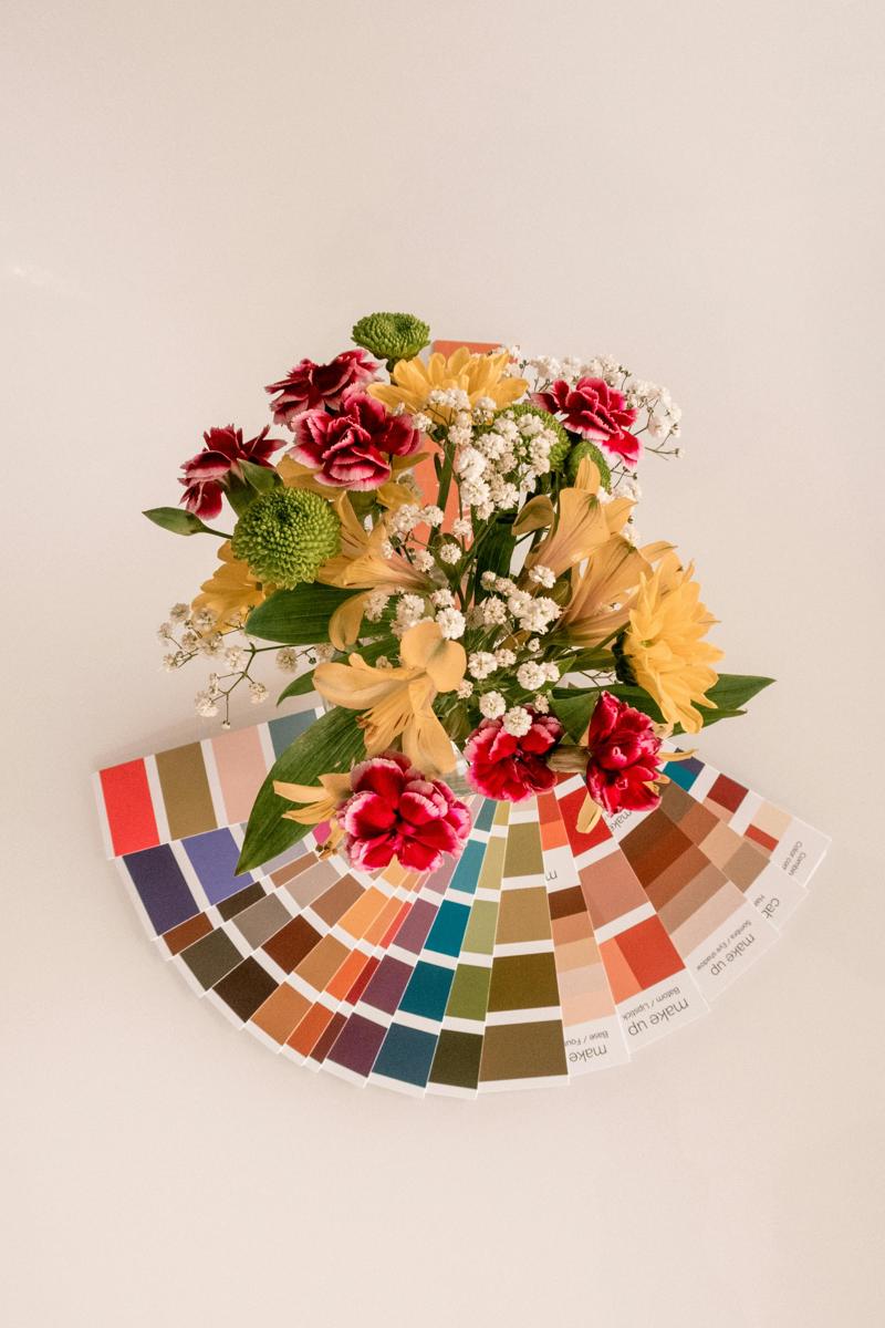 color palette