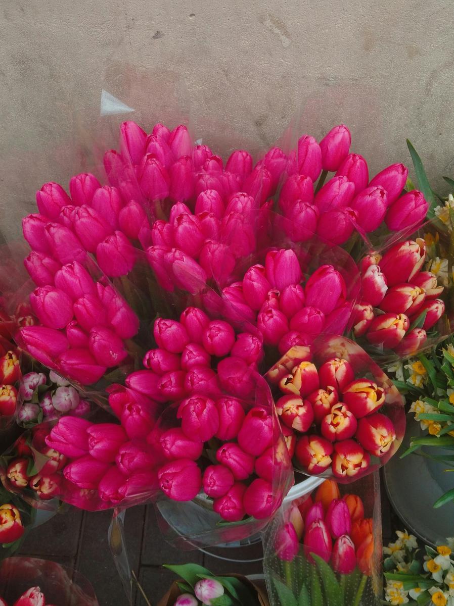 flower stand